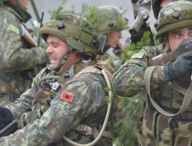 Αλβανικά στρατεύματα μπαίνουν στην Ελλάδα για πρώτη φορά μετά τον Β'ΠΠ!